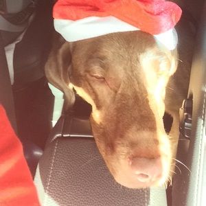 Meet your Posher, Cindy